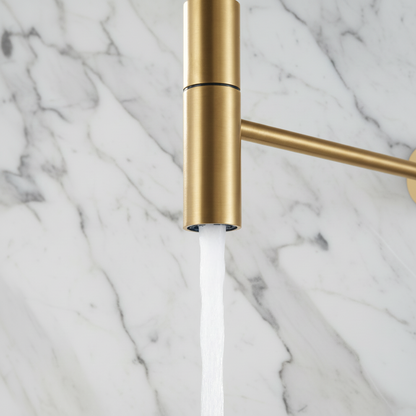 Semi-professionele Keukenkraan Angelica – Uittrekbare Uitloop – Brushed gold - 52.9 × 24.9 × 5.5 cm